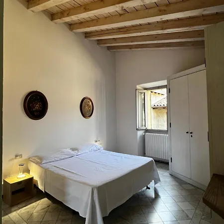 Solata 8 Alta