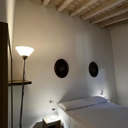 Solata 8 Alta *