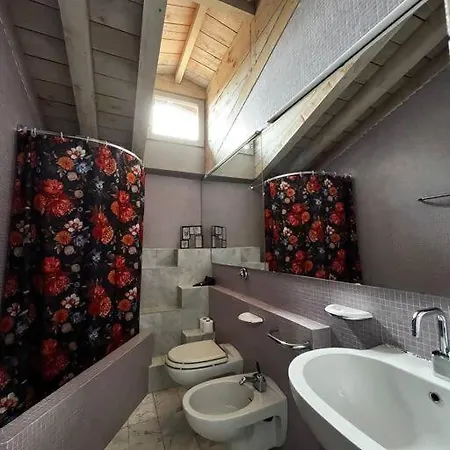 Solata 8 Alta *