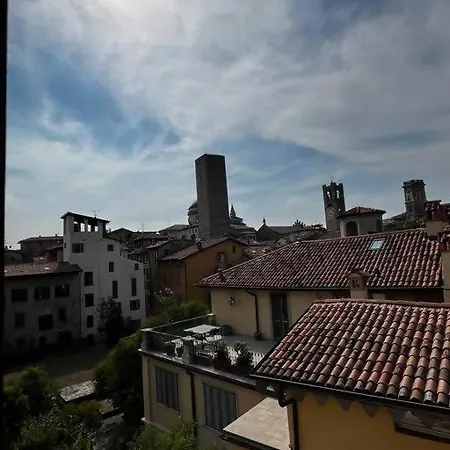 Solata 8 Alta